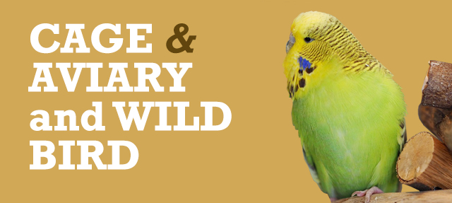 Cage, Aviary and Wild Bird